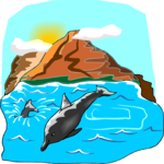 Dolphins 2