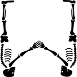 Skeleton W