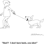 Dog - Heel