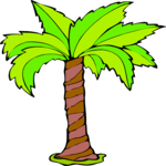Palm Tree 59