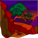 Tree on Cliff 1
