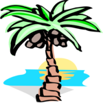 Palm Tree 54