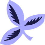 Leaves 40