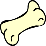 Bone 1