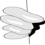 Hand 29