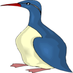 Guillemot 2