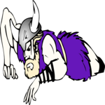 Viking 17