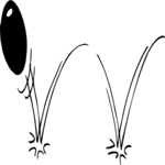 Bouncing Ball