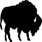 Buffalo 3