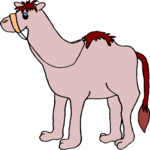Camel 17