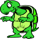 Turtle 20
