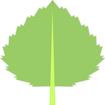 Leaf 003