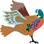 Bird 017