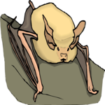 Bat 18
