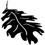 Leaf 4