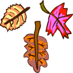Leaves