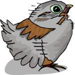 Chick 1