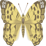 Butterfly 108