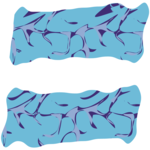 Crinkle Italic =