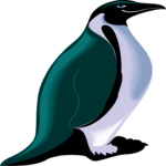 Penguin 06