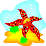 Starfish 3