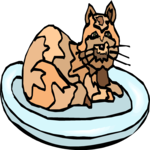 Cat on Plate