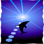 Dolphin - Graphic 1