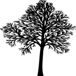 Tree 016