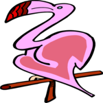 Flamingo 07