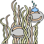 Sea Creatures