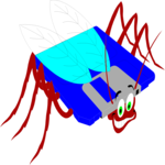 Software Bug