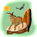 Mountain Goat 06
