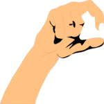 Sign Language