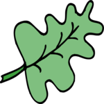 Leaf 083