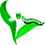 Caterpillar 18