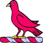 Chough