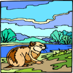Chipmunk 5