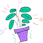 Plant 087