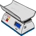 Infant Scale 2