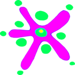 Starlegs Dim