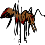 Ant