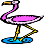 Flamingo 13