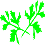 Parsley