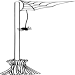 Broom & Spider Web Border