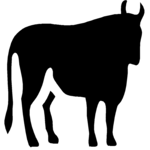 Zodiac, Horoscope & Astrology