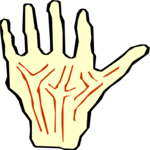 Hand 7