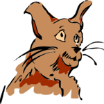 Cat 08