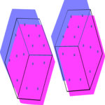 Dice 19