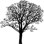 Tree 013