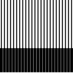 Border 464